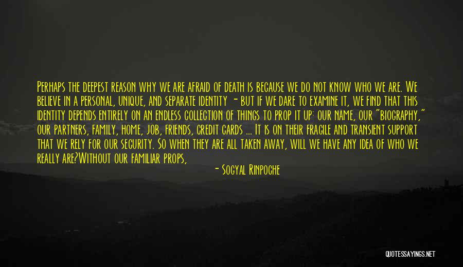 Just Because Cards Quotes By Sogyal Rinpoche