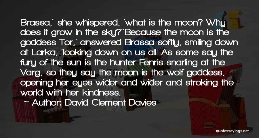 Just Because I Am Smiling Quotes By David Clement-Davies