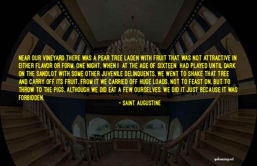 Just Because You Carried Well Quotes By Saint Augustine Just Because You Carried Well Quotes By Saint Augustine