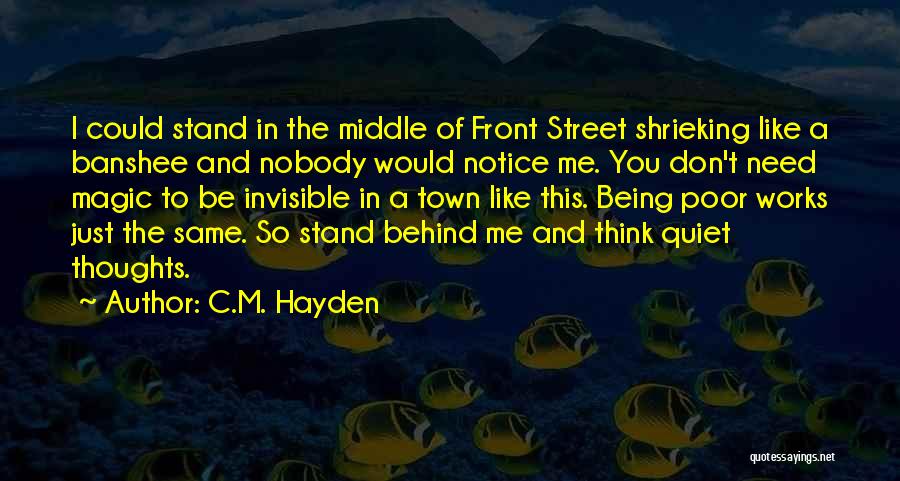 Just Being Quiet Quotes By C.M. Hayden