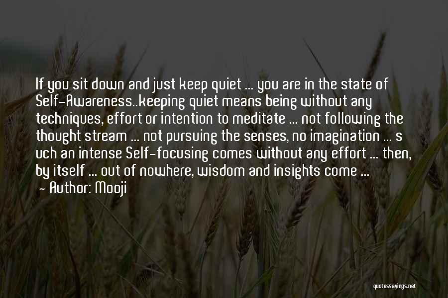 Just Being Quiet Quotes By Mooji