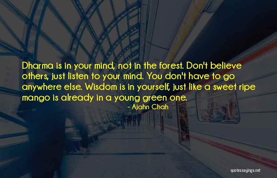 Just Believe In Yourself Quotes By Ajahn Chah Just Believe In Yourself Quotes By Ajahn Chah