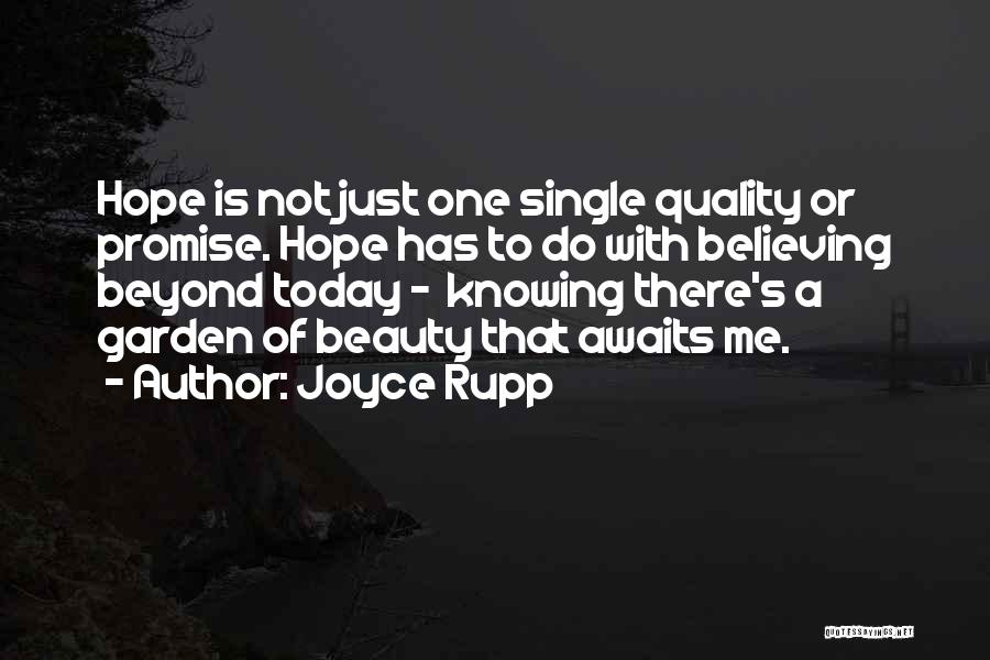 Just Believe Me Quotes By Joyce Rupp