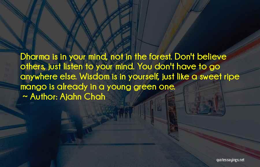 Just Believe Yourself Quotes By Ajahn Chah