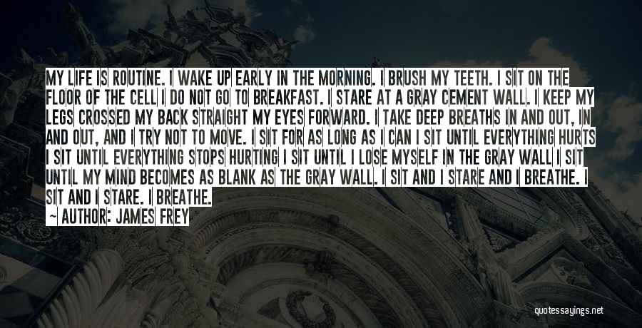 Just Breathe Wall Quotes By James Frey