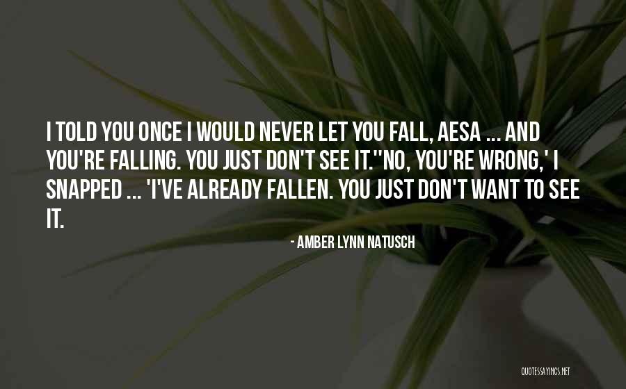 Just Broken Quotes By Amber Lynn Natusch Just Broken Quotes By Amber Lynn Natusch