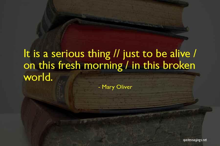 Just Broken Quotes By Mary Oliver Just Broken Quotes By Mary Oliver
