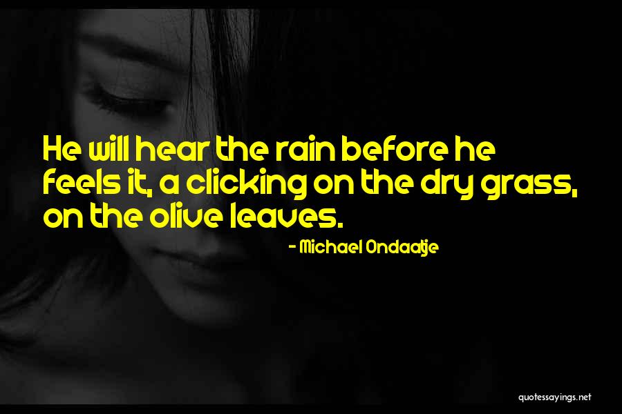Just Clicking Quotes By Michael Ondaatje Just Clicking Quotes By Michael Ondaatje