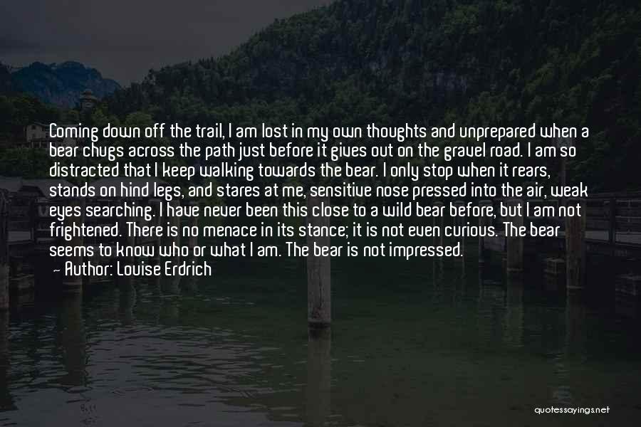 Just Close My Eyes Quotes By Louise Erdrich