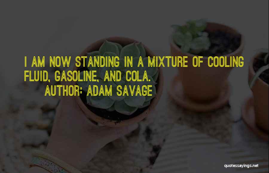 Just Cooling Quotes By Adam Savage