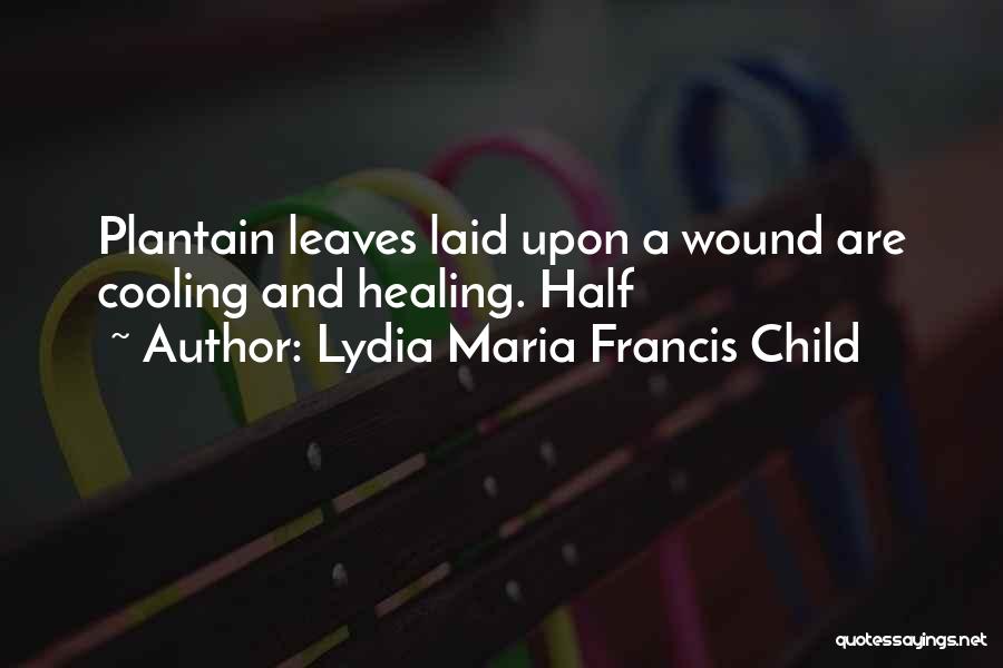 Just Cooling Quotes By Lydia Maria Francis Child