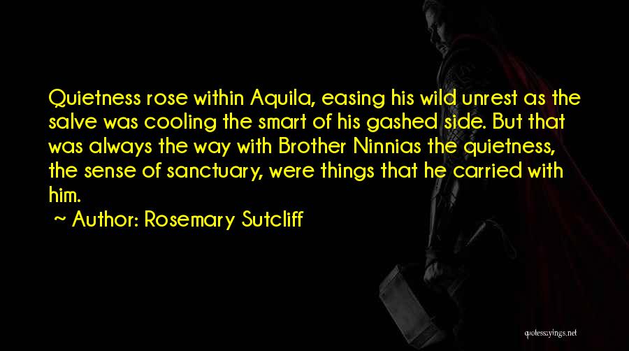 Just Cooling Quotes By Rosemary Sutcliff