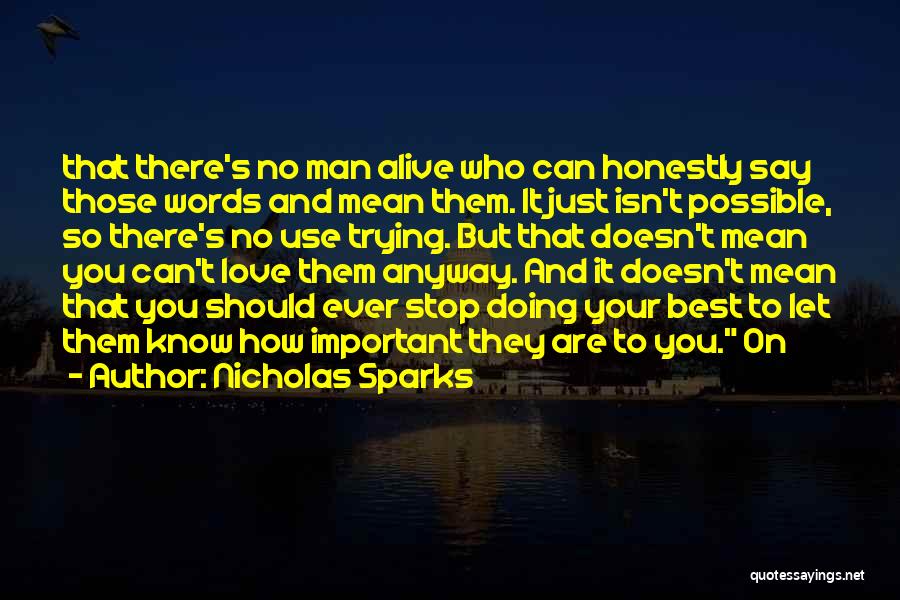 Just Doing Your Best Quotes By Nicholas Sparks