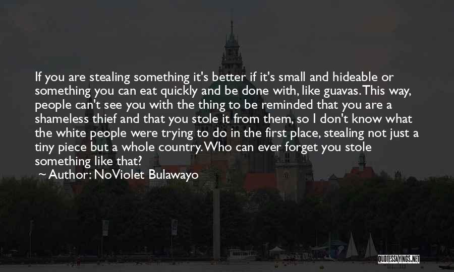 Just Done Trying Quotes By NoViolet Bulawayo