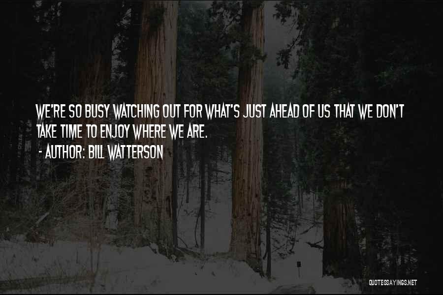 Just Enjoy Life Quotes By Bill Watterson