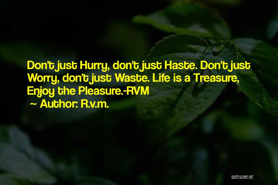 Just Enjoy Life Quotes By R.v.m.