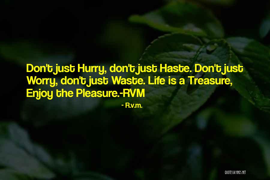 Just Enjoy Life Quotes By R.v.m.