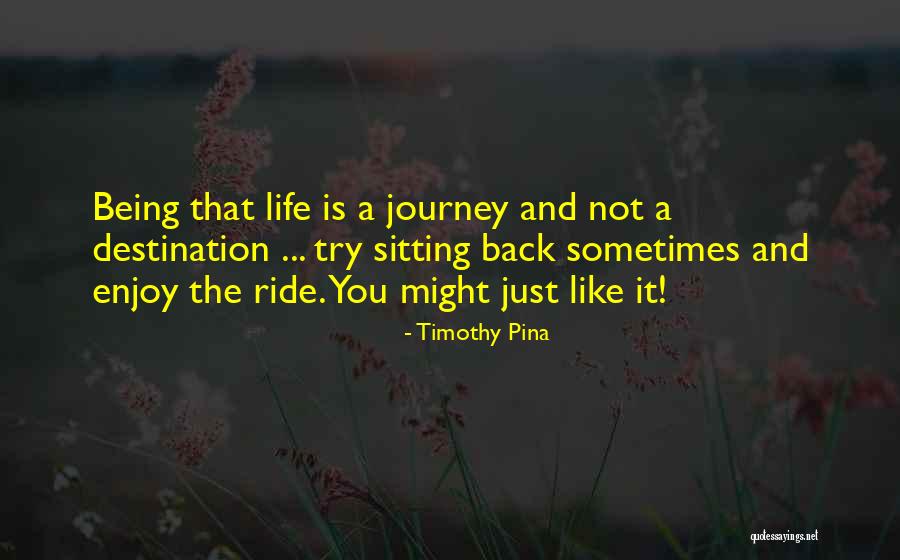 Just Enjoy Life Quotes By Timothy Pina