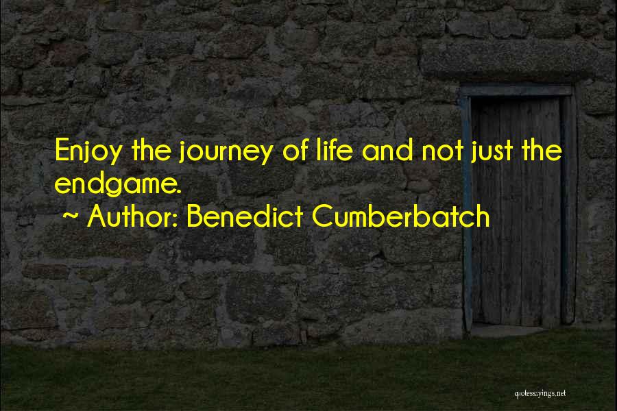 Just Enjoy The Life Quotes By Benedict Cumberbatch