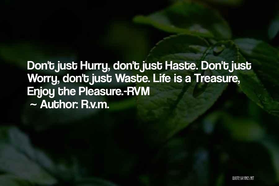 Just Enjoy The Life Quotes By R.v.m.
