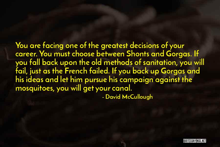 Just Fall Back Quotes By David McCullough Just Fall Back Quotes By David McCullough