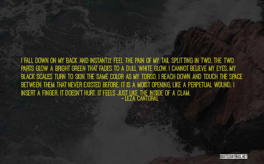 Just Fall Back Quotes By Leza Cantoral Just Fall Back Quotes By Leza Cantoral