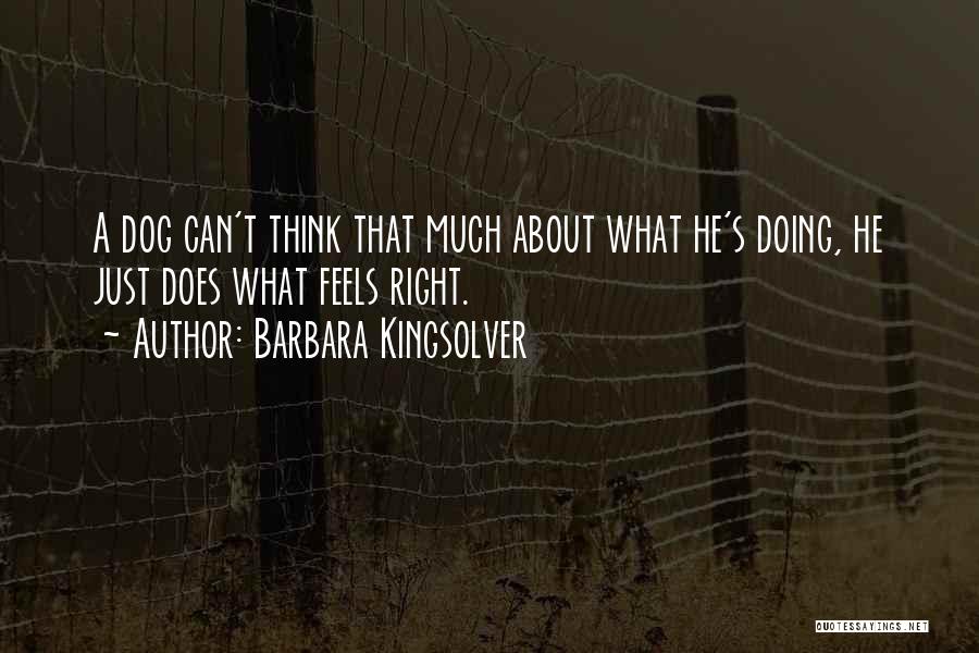 Just Feels Right Quotes By Barbara Kingsolver