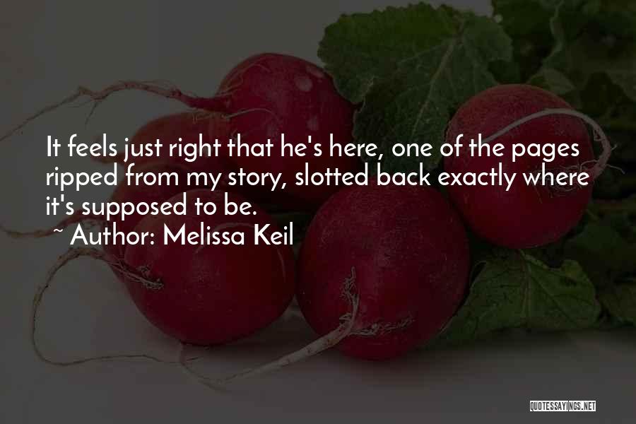 Just Feels Right Quotes By Melissa Keil