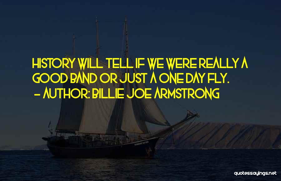 Just Fly Quotes By Billie Joe Armstrong