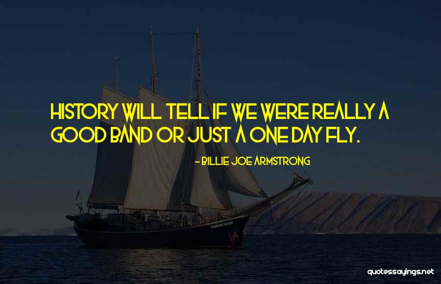 Just Fly Quotes By Billie Joe Armstrong