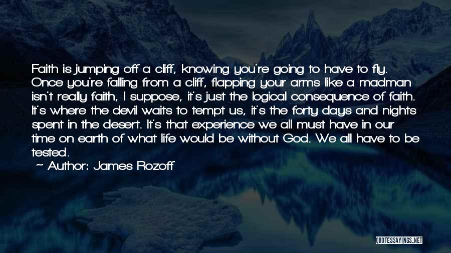 Just Fly Quotes By James Rozoff