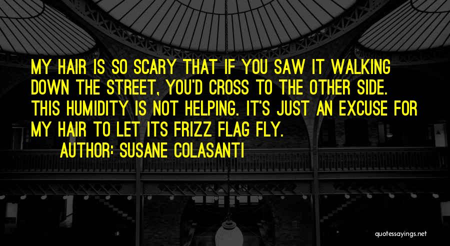 Just Fly Quotes By Susane Colasanti