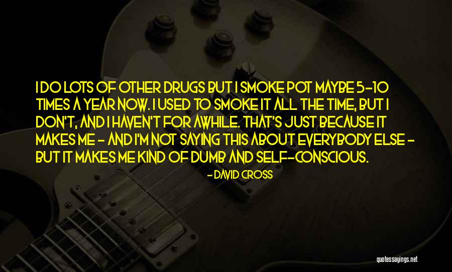 Just For Awhile Quotes By David Cross Just For Awhile Quotes By David Cross