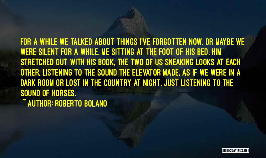 Just For Now Book Quotes By Roberto Bolano