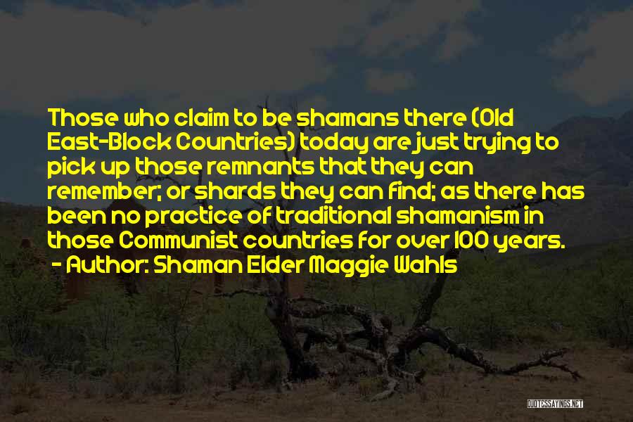 Just For Today Quotes By Shaman Elder Maggie Wahls