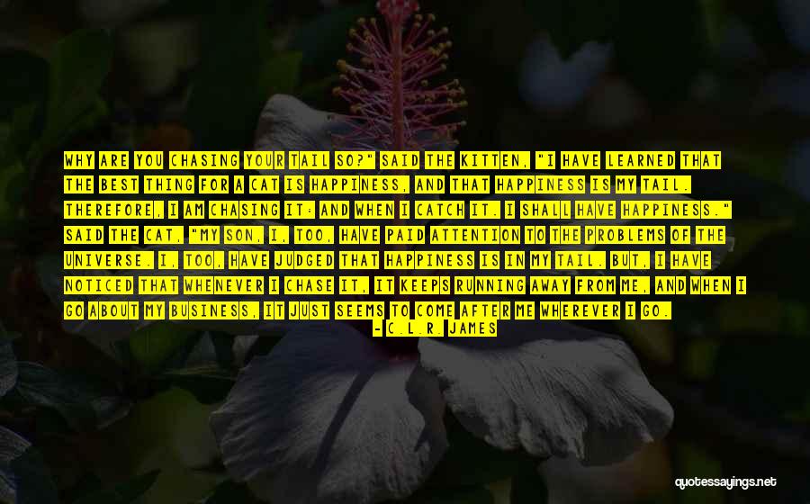 Just For Your Happiness Quotes By C.L.R. James Just For Your Happiness Quotes By C.L.R. James