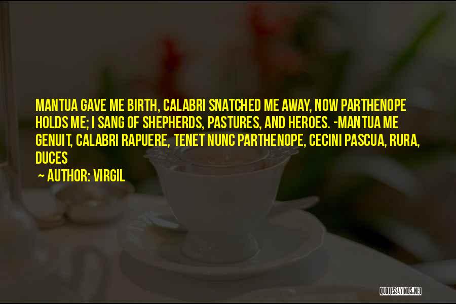 Just Gave Birth Quotes By Virgil
