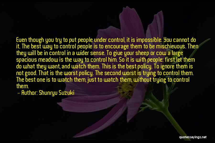 Just Give Your Best Quotes By Shunryu Suzuki