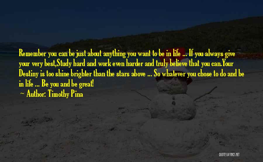 Just Give Your Best Quotes By Timothy Pina