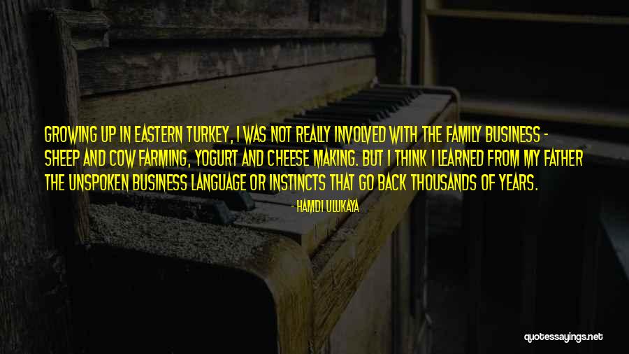 Just Go With It Sheep Quotes By Hamdi Ulukaya Just Go With It Sheep Quotes By Hamdi Ulukaya