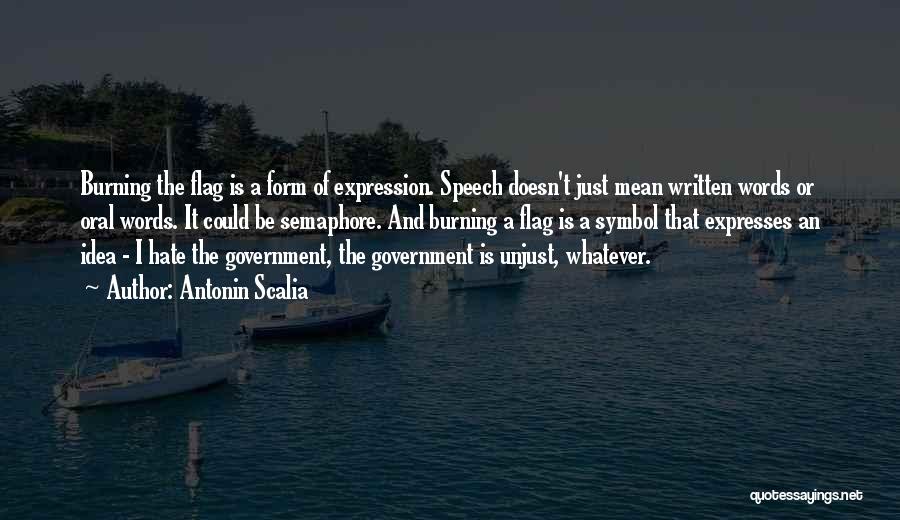 Just Government Quotes By Antonin Scalia