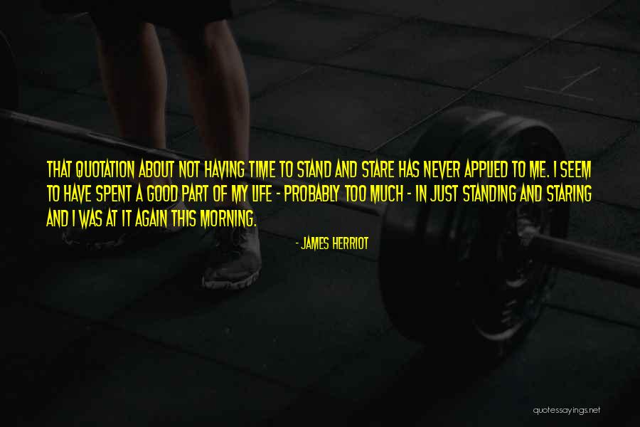 Just Having A Good Time Quotes By James Herriot Just Having A Good Time Quotes By James Herriot