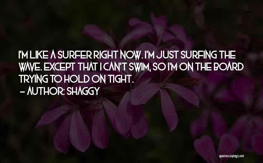 Just Hold On Tight Quotes By Shaggy