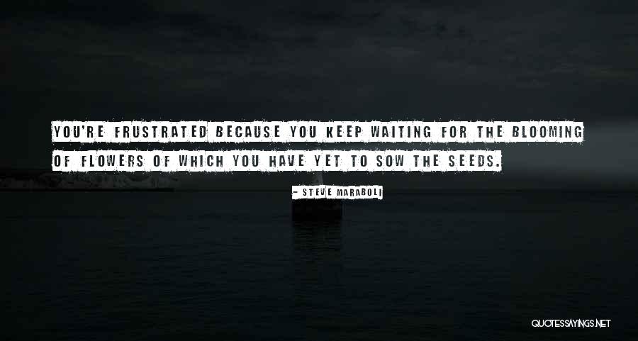 Just Keep Blooming Quotes By Steve Maraboli Just Keep Blooming Quotes By Steve Maraboli