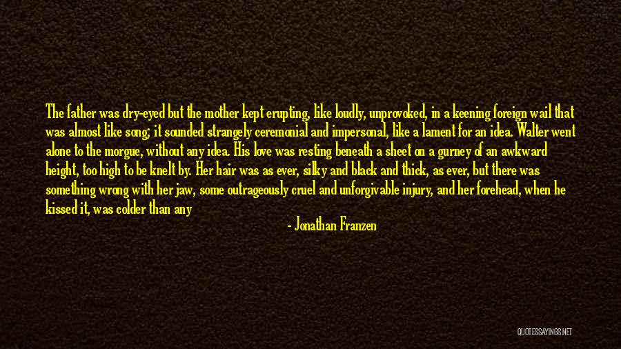 Just Leave Him Quotes By Jonathan Franzen