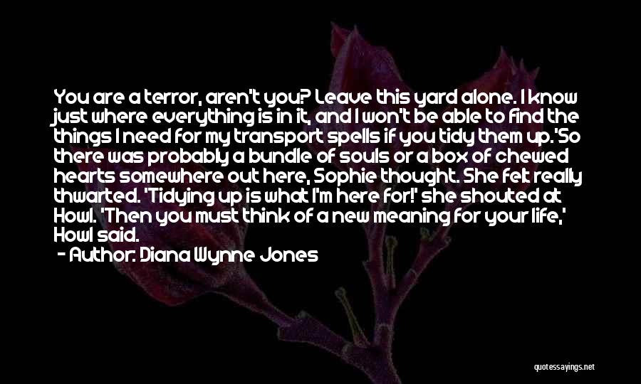 Just Leave It Be Quotes By Diana Wynne Jones