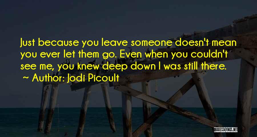 Just Let Me Go Quotes By Jodi Picoult