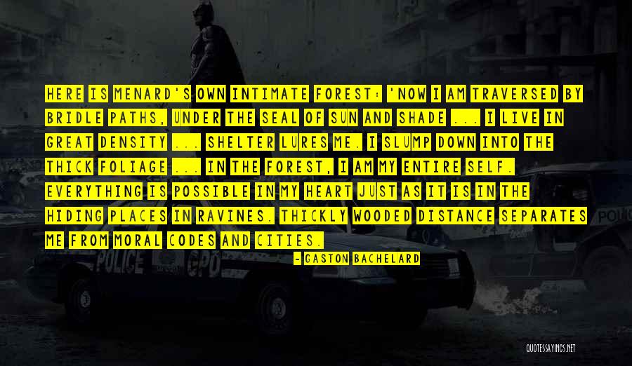 Just Live Quotes By Gaston Bachelard Just Live Quotes By Gaston Bachelard