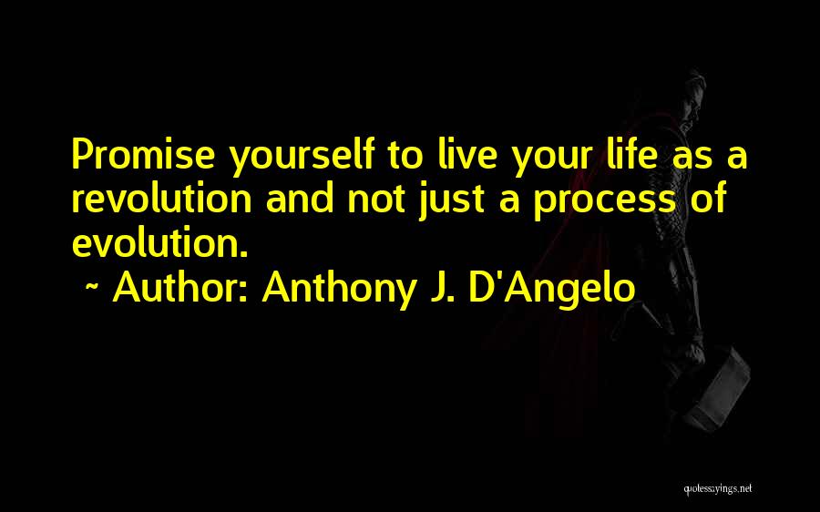 Just Live Your Life Quotes By Anthony J. D'Angelo