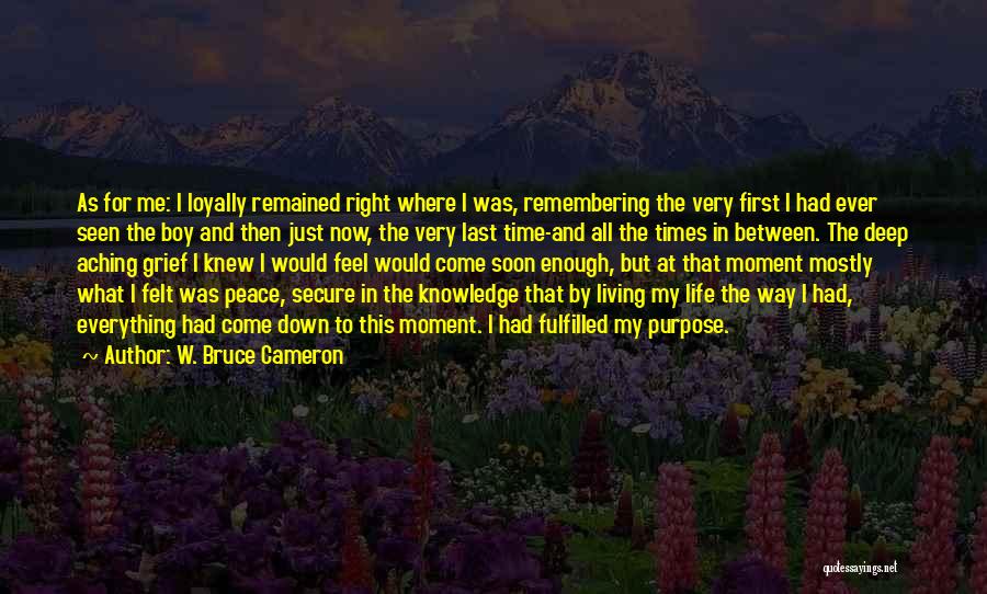 Just Living In The Moment Quotes By W. Bruce Cameron